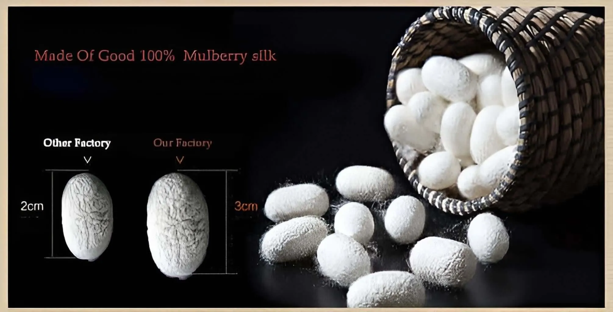 Mulberry Silk Bra
